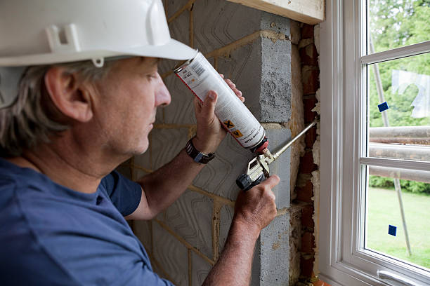 Best Professional Insulation Contractor  in Pacolet, SC